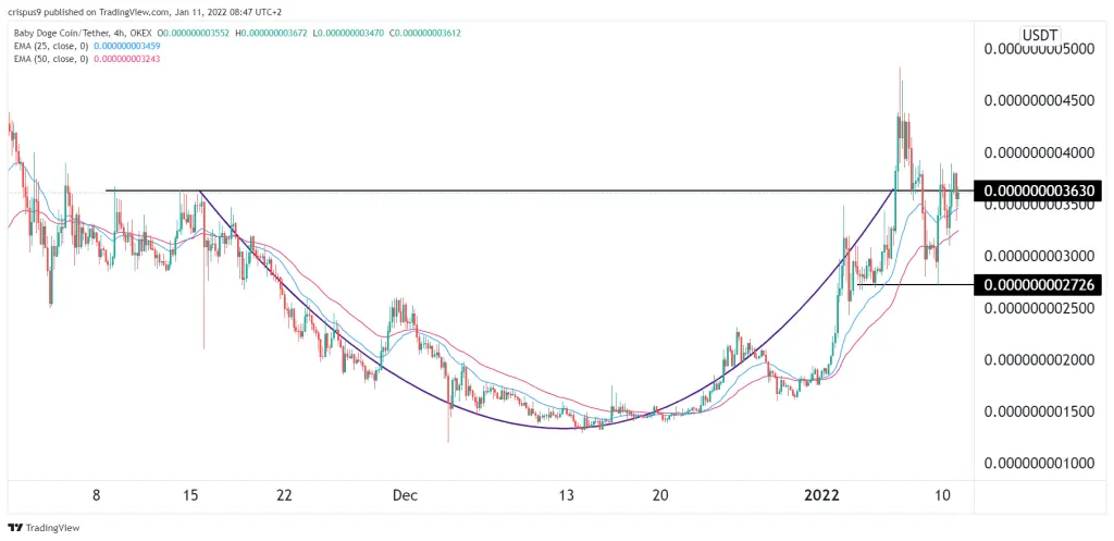 Baby Doge Coin
