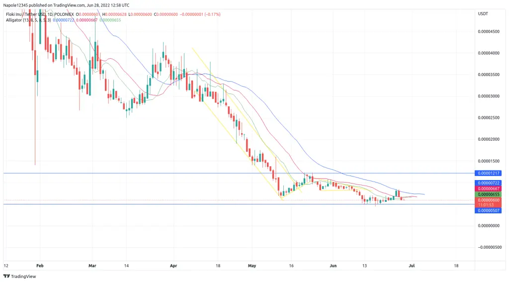Floki Inu Price prediction