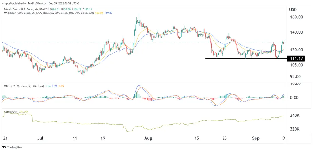 Bitcoin Cash Price