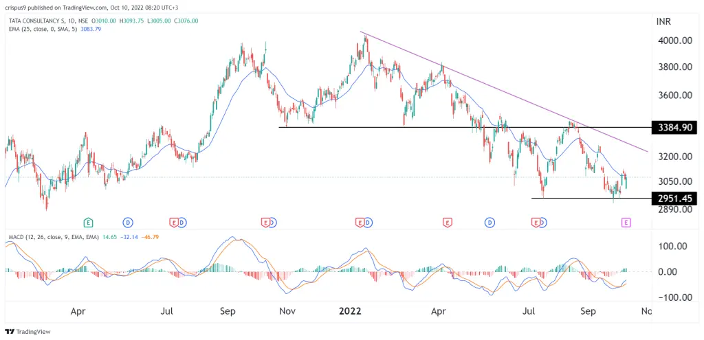 TCS Share price