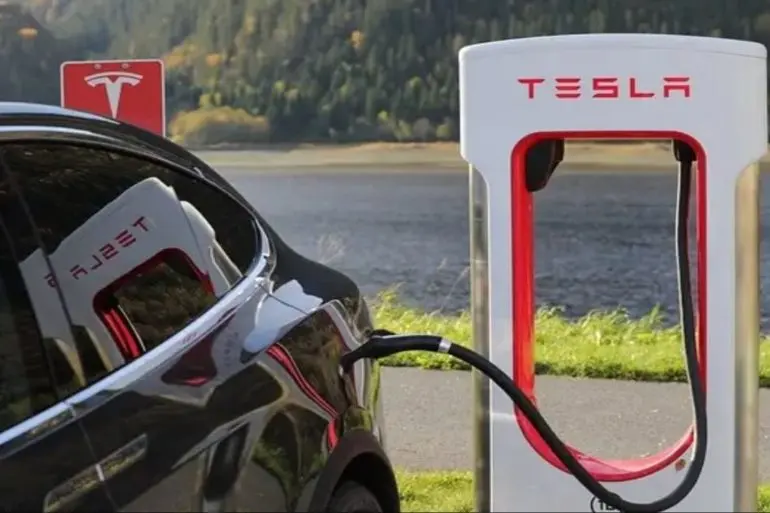 Tesla Stock