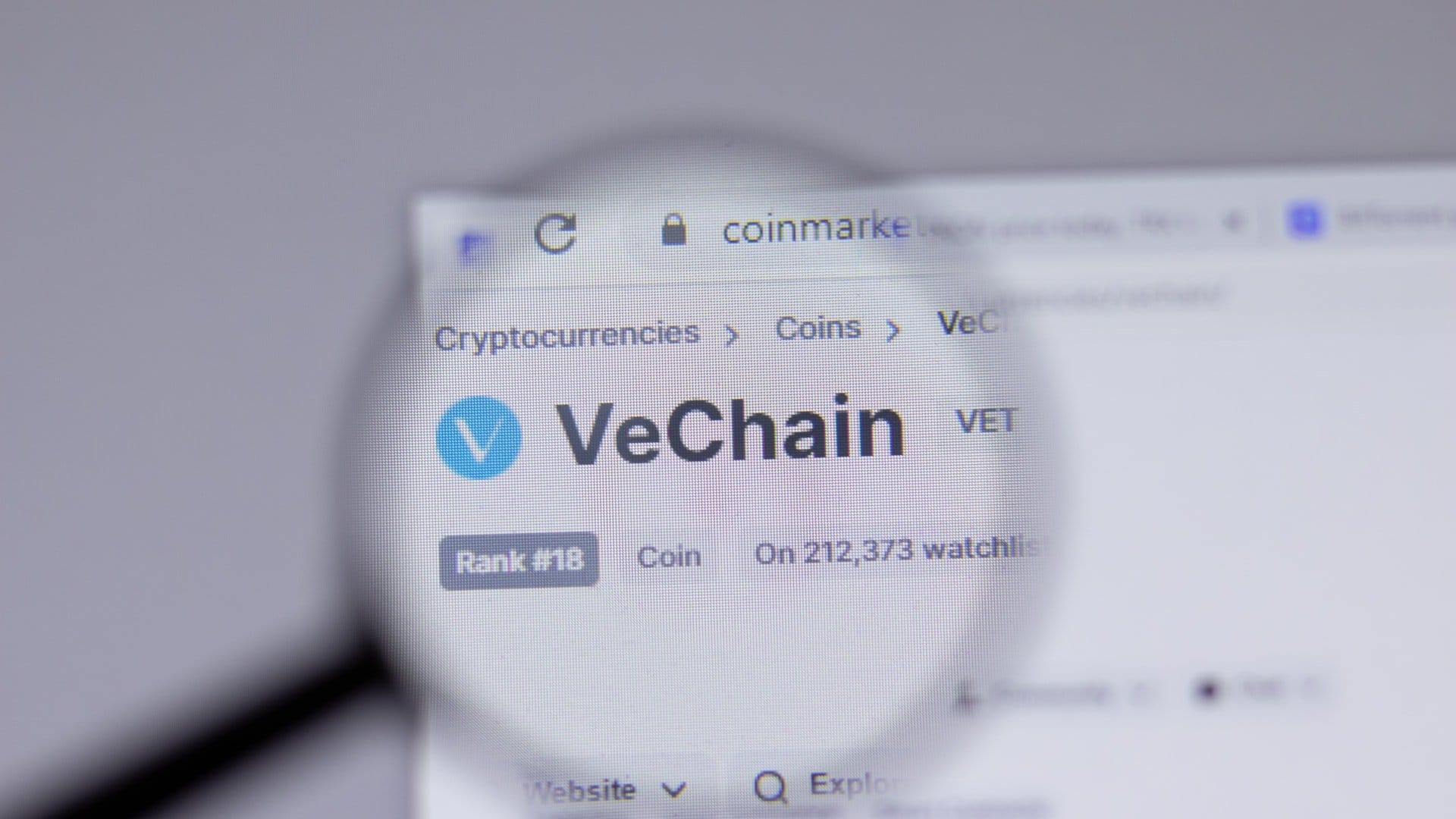 Vechain февраль 2024