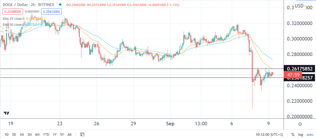 Dogecoin price