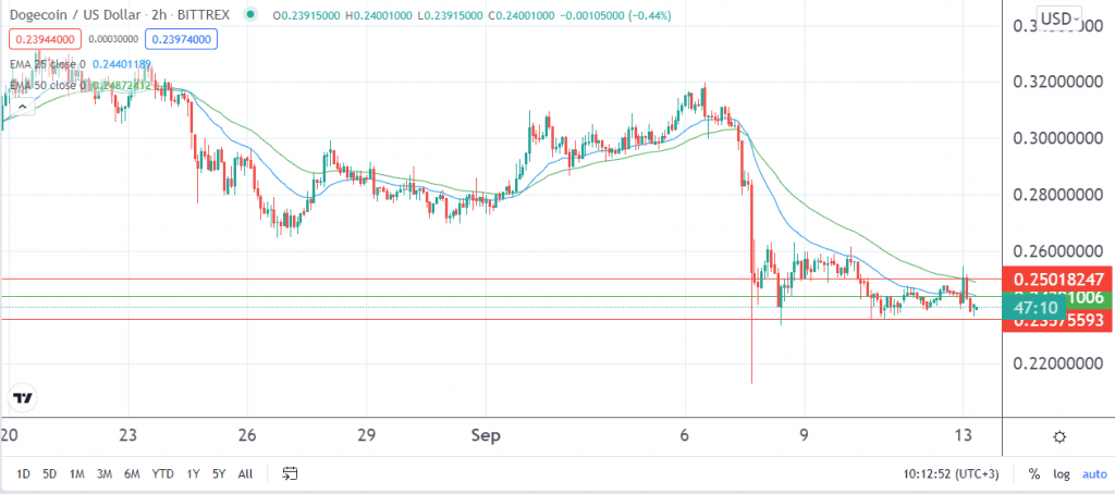 Dogecoin price