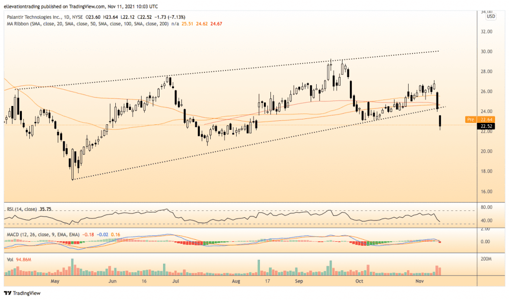 Palantir stock