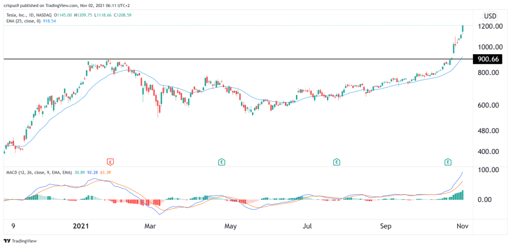 Elon Musk Net Worth 2021 Chart - RobinHood Daily Scape Ideas