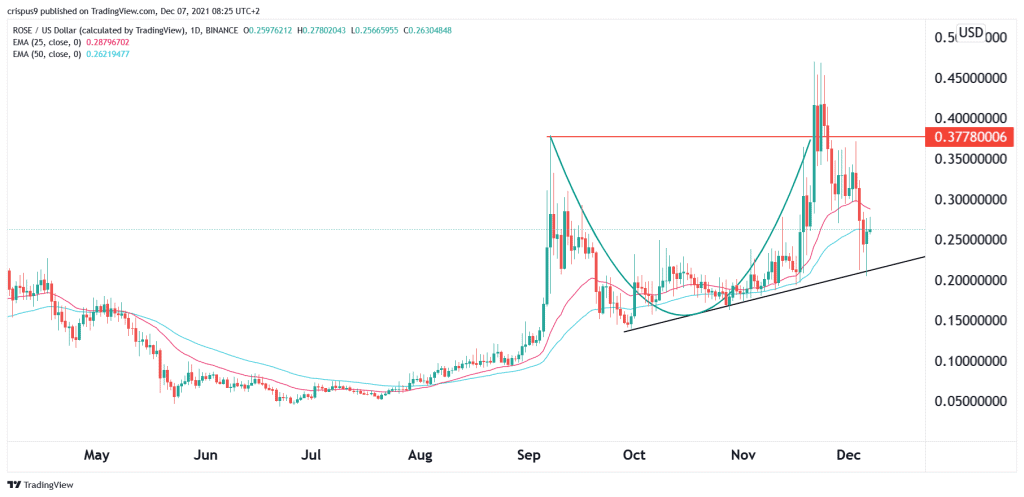 Oasis Network price