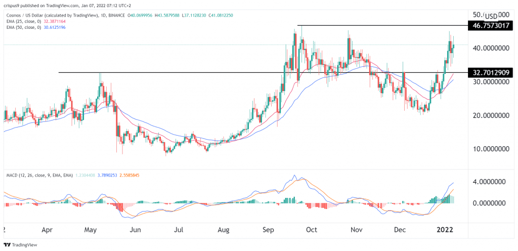 Cosmos price