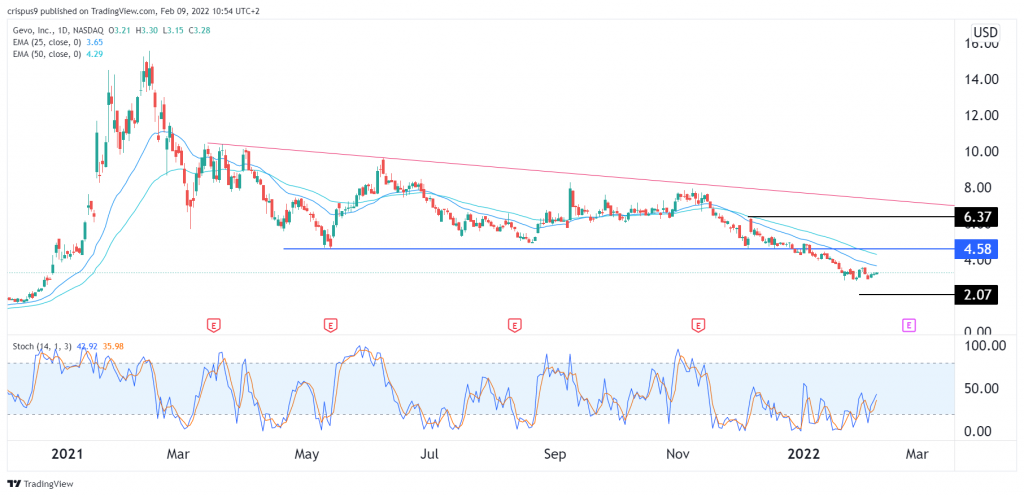 Gevo stock price