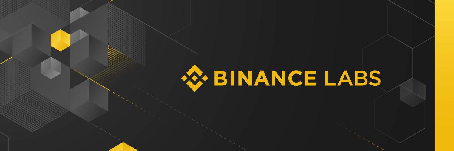 Binance labs проекты
