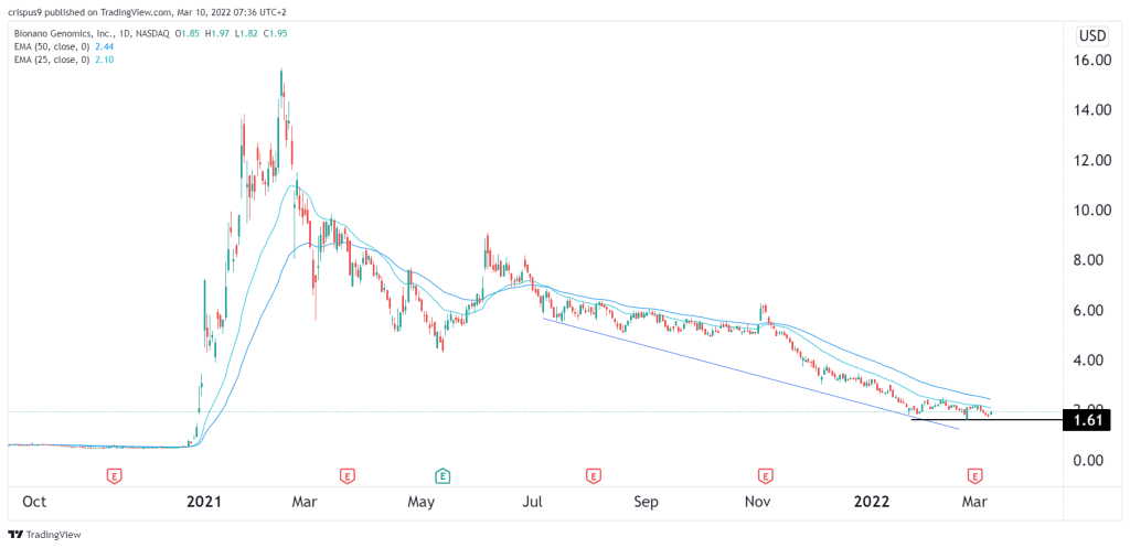 BNGO stock price