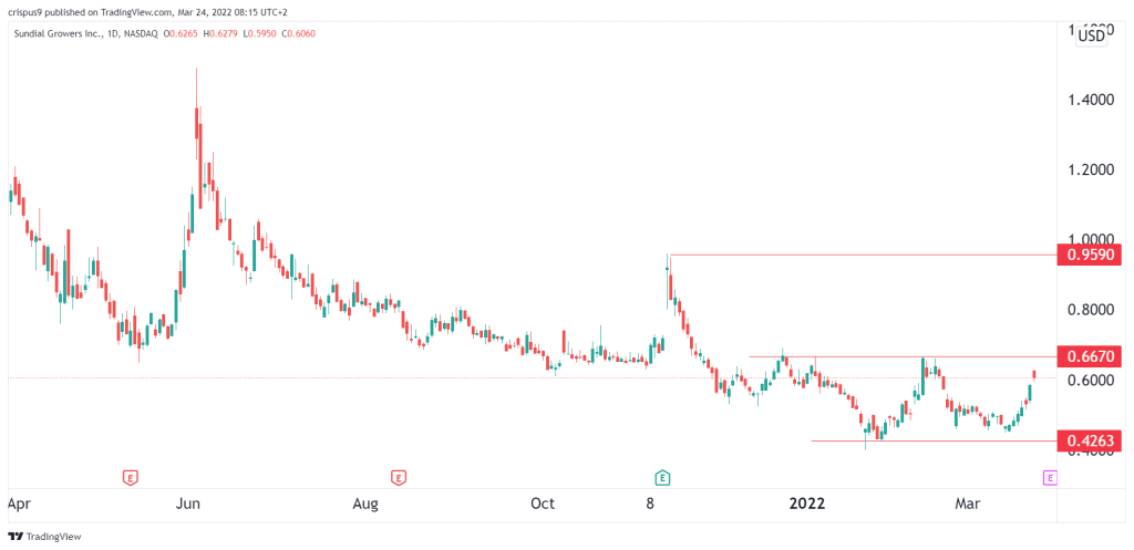 SNDL stock