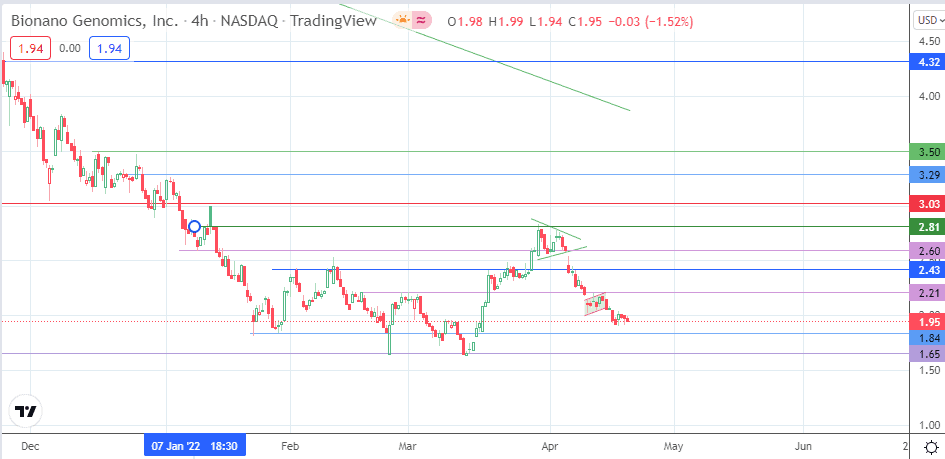 Bngo share price