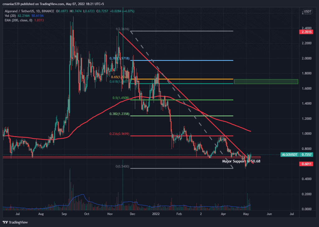 پیش بینی بازار درست از آب در آمد| افزایش قیمت توکن ALGO در اوج ریزش بازار رمزارزها!