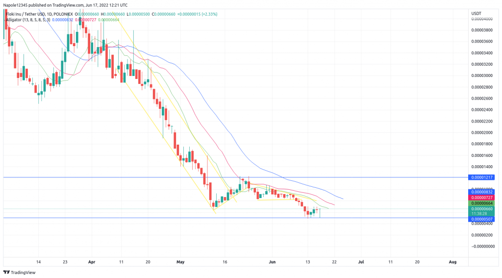 Floki Inu price prediction