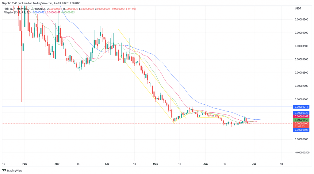 Floki Inu Price prediction