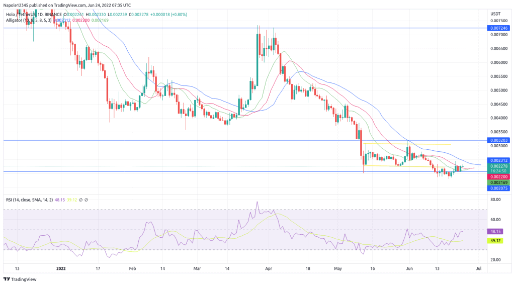 Holochain price prediction