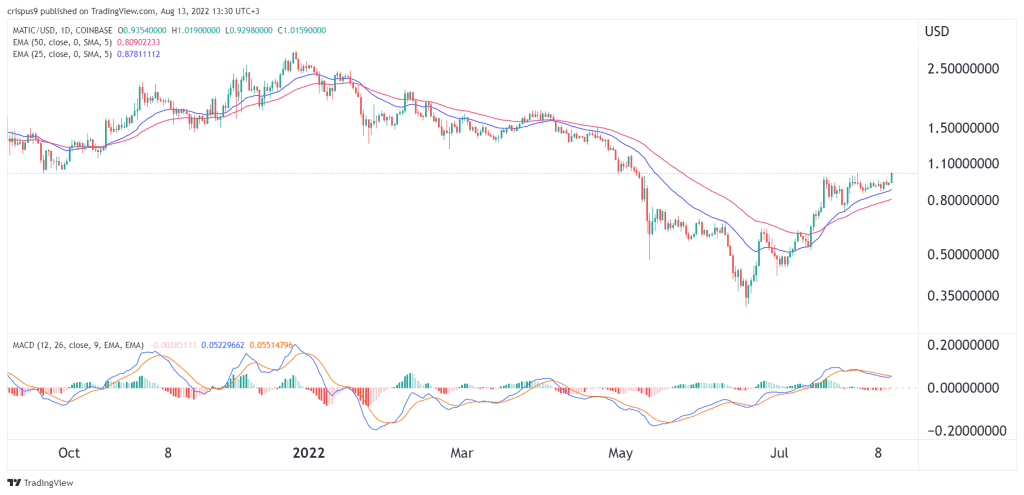 Polygon MATIC Price Prediction: Ripe for a 50% Jump