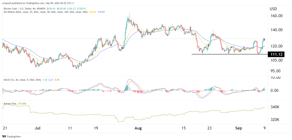 Bitcoin Cash Price