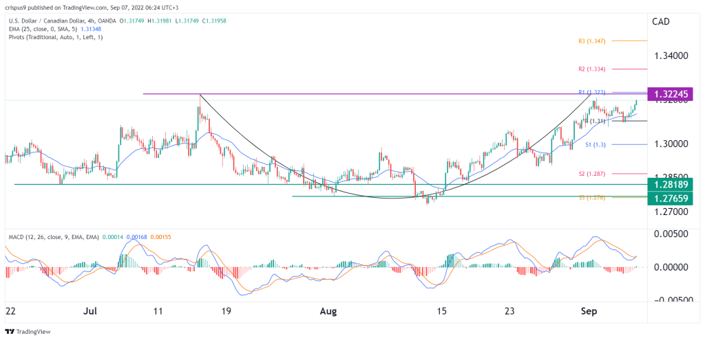 прогноз usd cad на сегодня