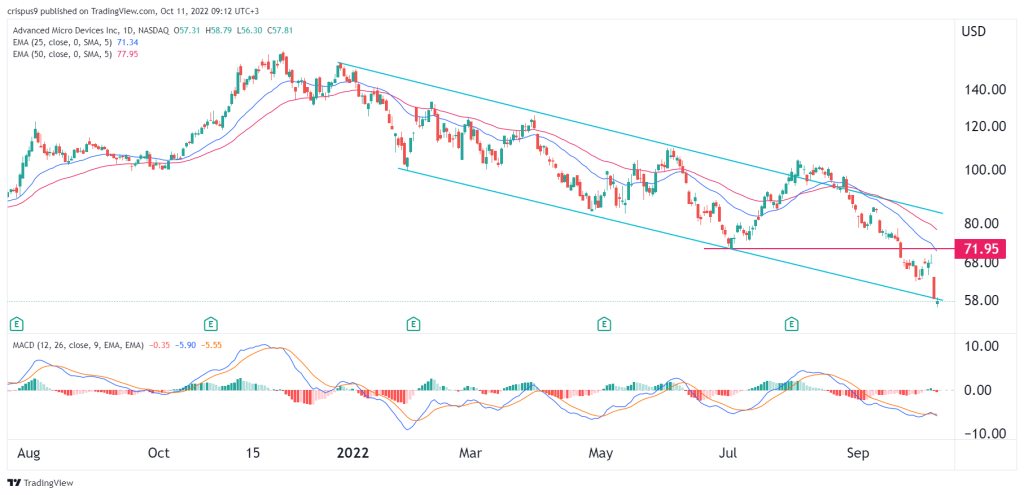 amd share price