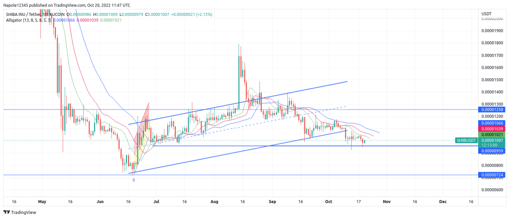 Shiba Inu price prediction