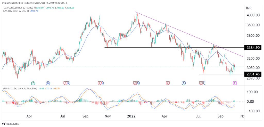 TCS Share price