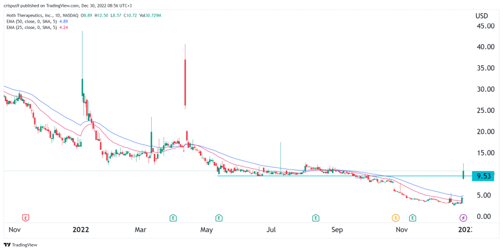 Hoth Therapeutics stock