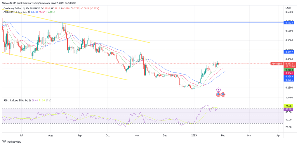 Cardon Price Forecast