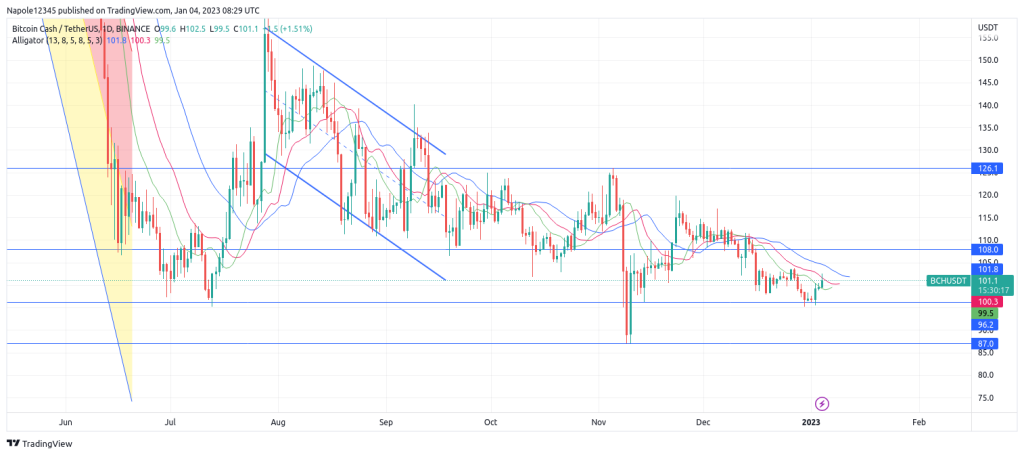 Bitcoin Cash Forecast