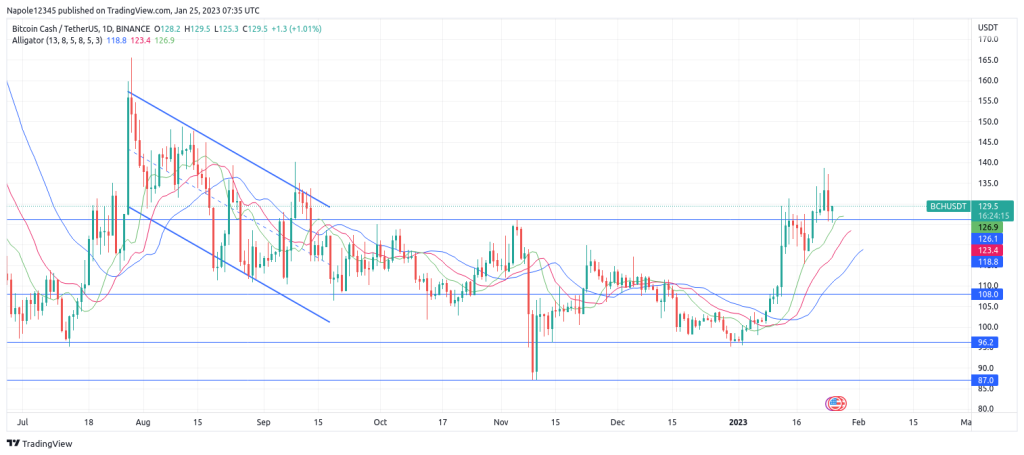 Bitcoin Cash forecast