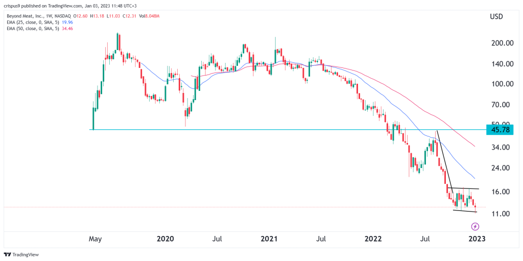 Beyond Meat stock price