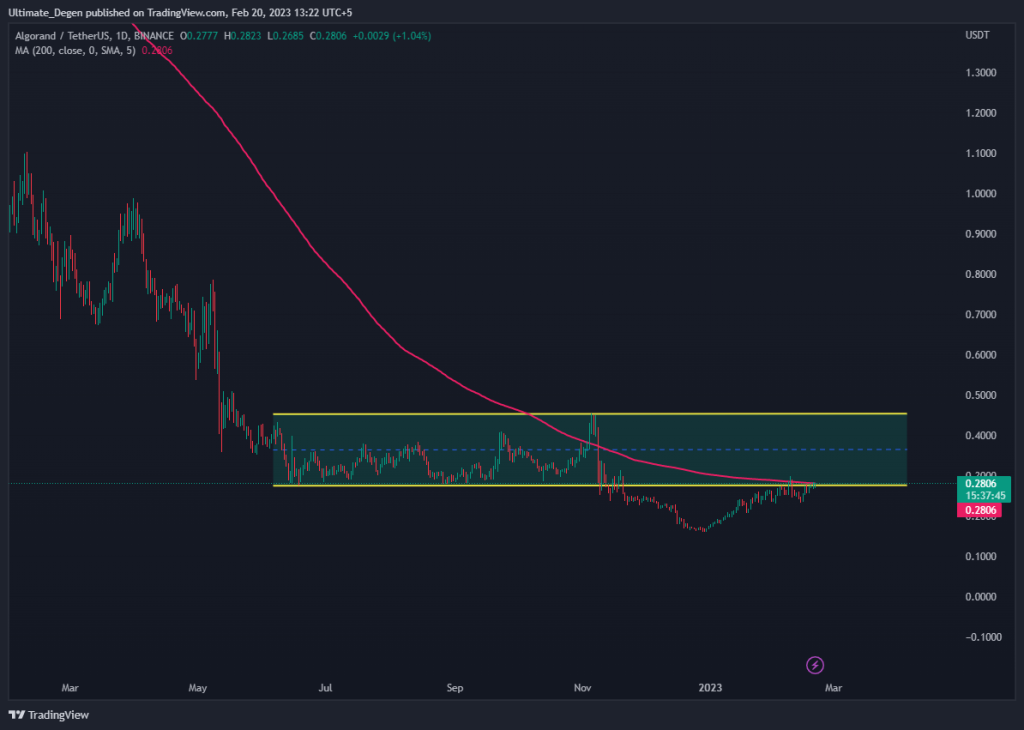 Algorand price daily chart