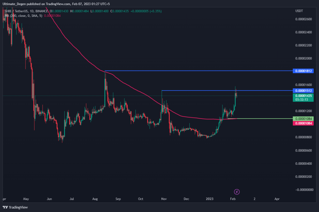 Shiba Inu Coin price daily chart