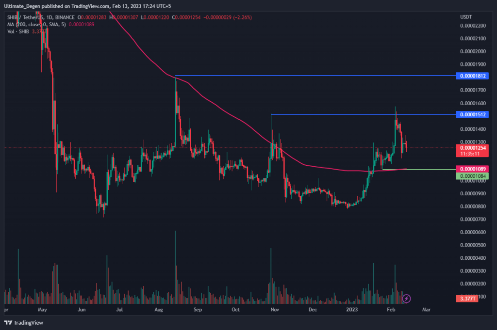 Shiba Inu Coin price daily chart