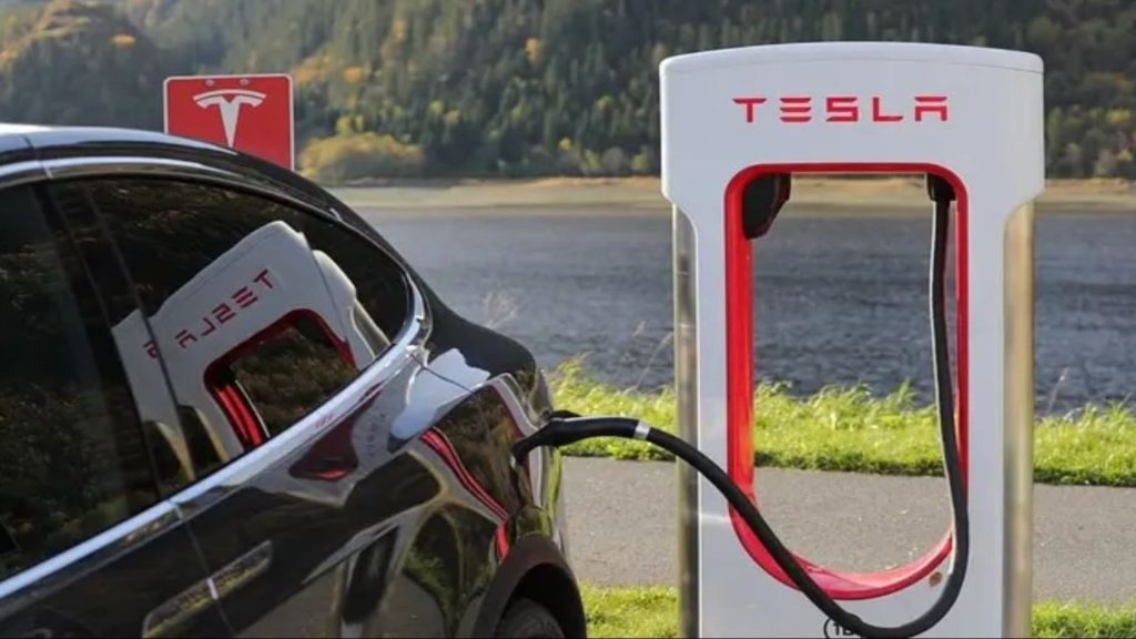 Tesla Stock