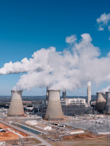Coal India share price