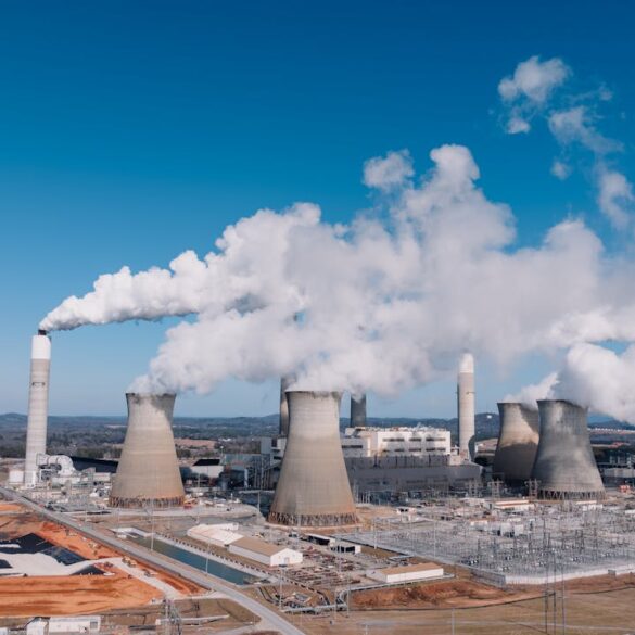 Coal India share price