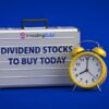 State Farm dividend